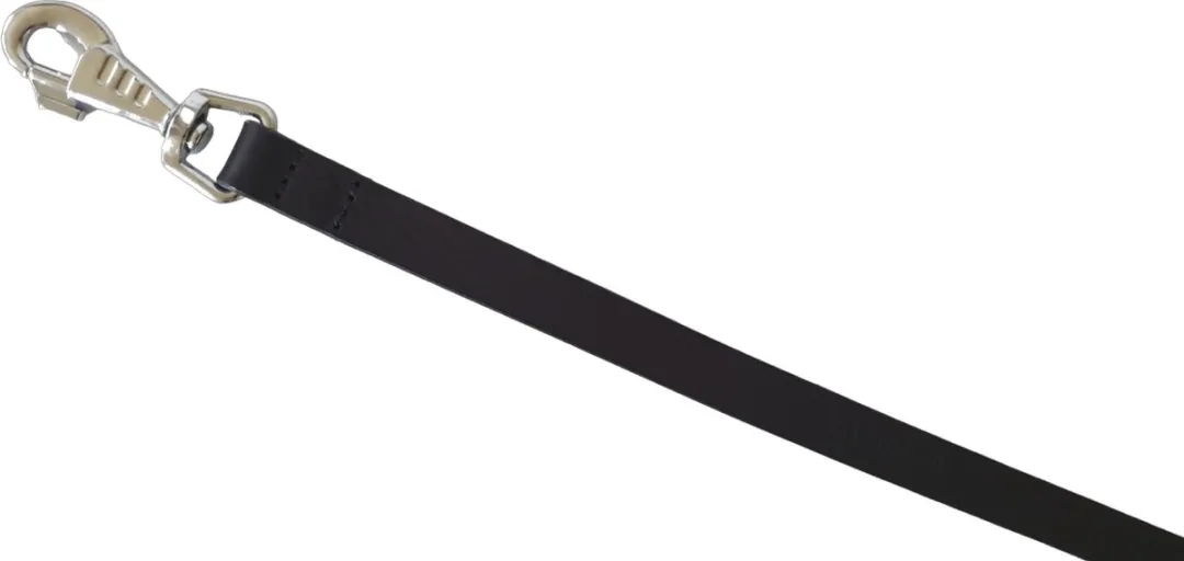 Ferplast Natural Hondenriem Leder - 120cm x 15mm - Zwart - afbeelding 5 van 6