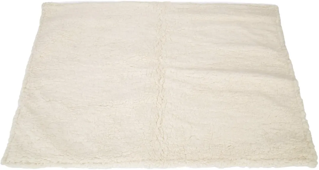 Beeztees Kitten Pluche Deken Tilou 70x50cm - Groen