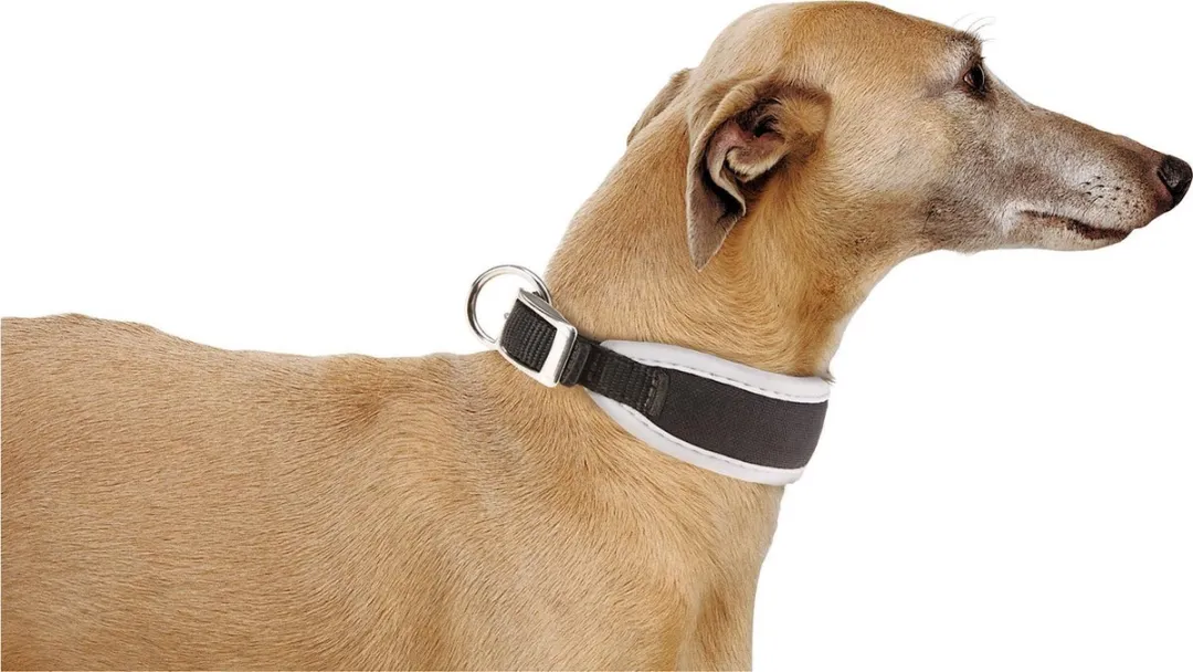 Ferplast Hondenhalsband Ergocomfort 32-39cm - Zwart/Grijs