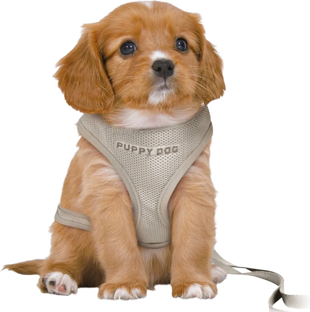 Trixie Junior Puppy Softtuig 36-50cm - Lichtgrijs - 2m