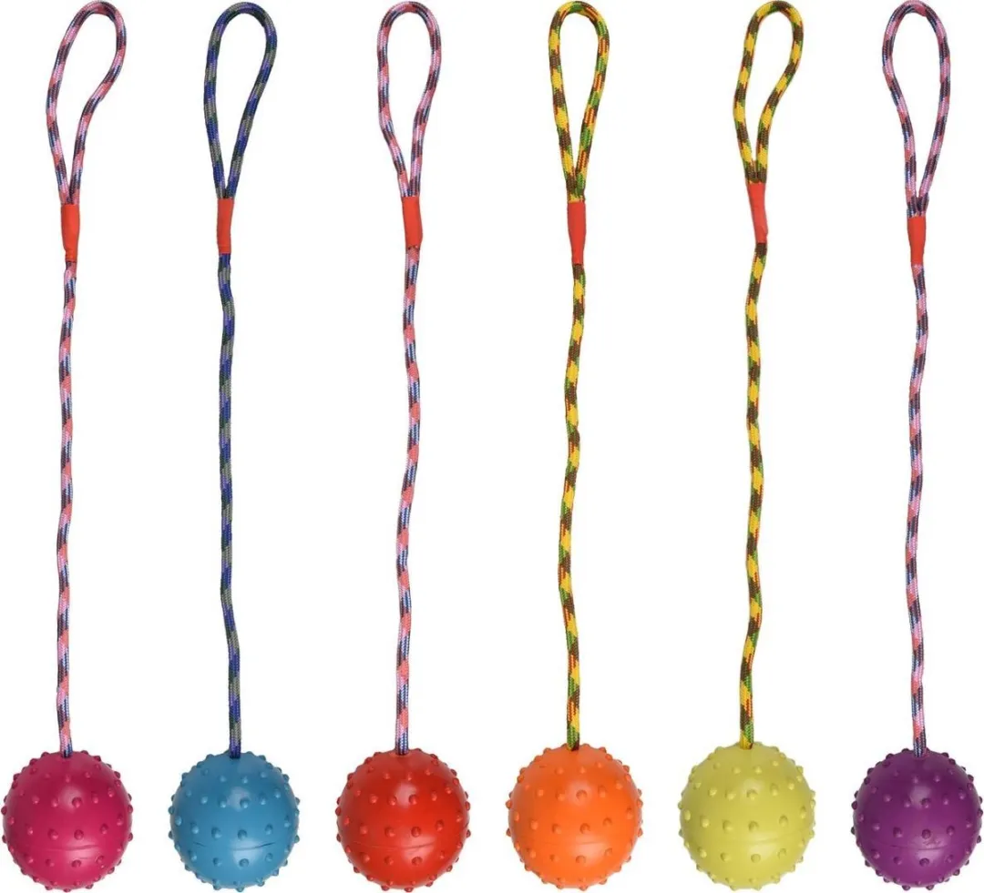 Flamingo Rubber Bal met Touw - Multi - afbeelding 6 van 6