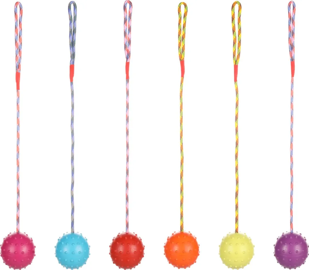 Flamingo Rubber Bal met Touw