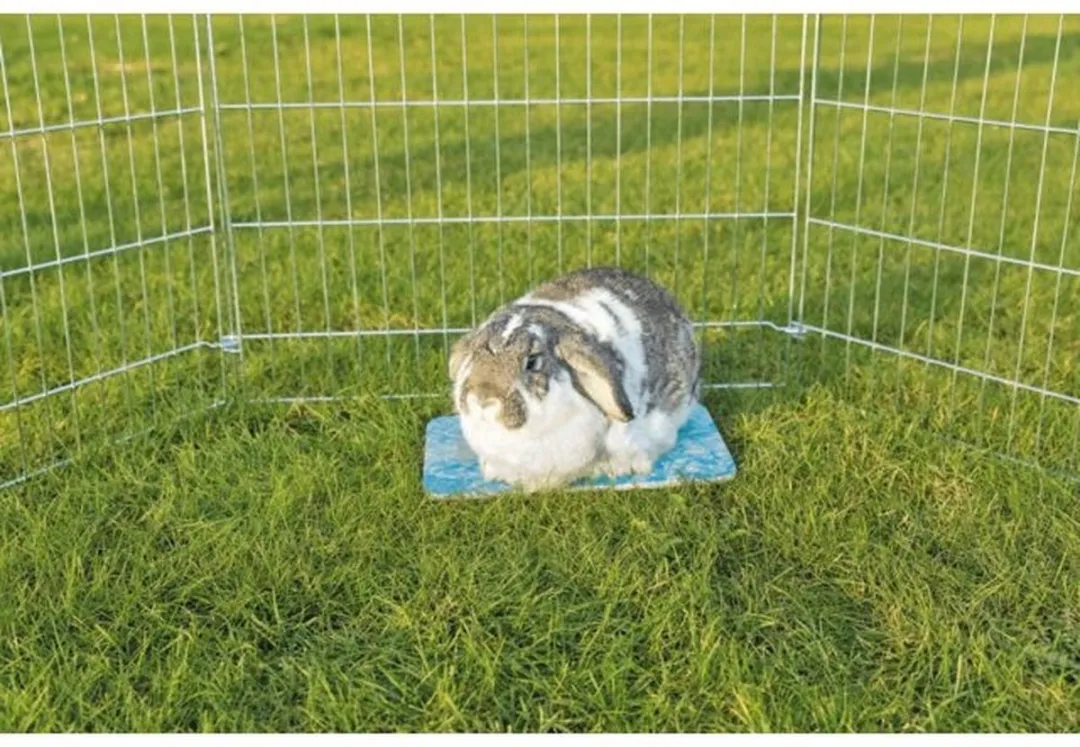 Trixie Koelplaat Hamster Blauw 20x15cm - afbeelding 3 van 6