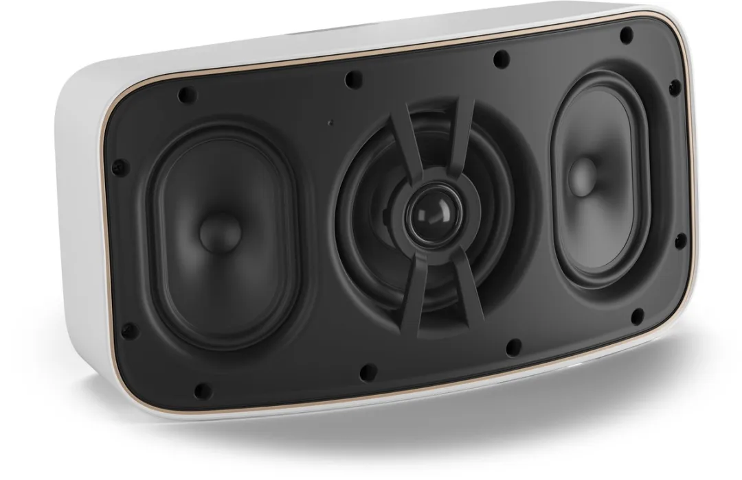 Dali Gardian OW 6 Passieve Outdoor Speaker