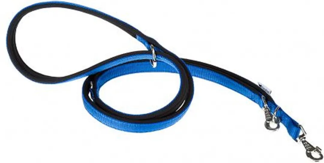 Ferplast Daytona GA20/200 Hondenlijn Blauw - L