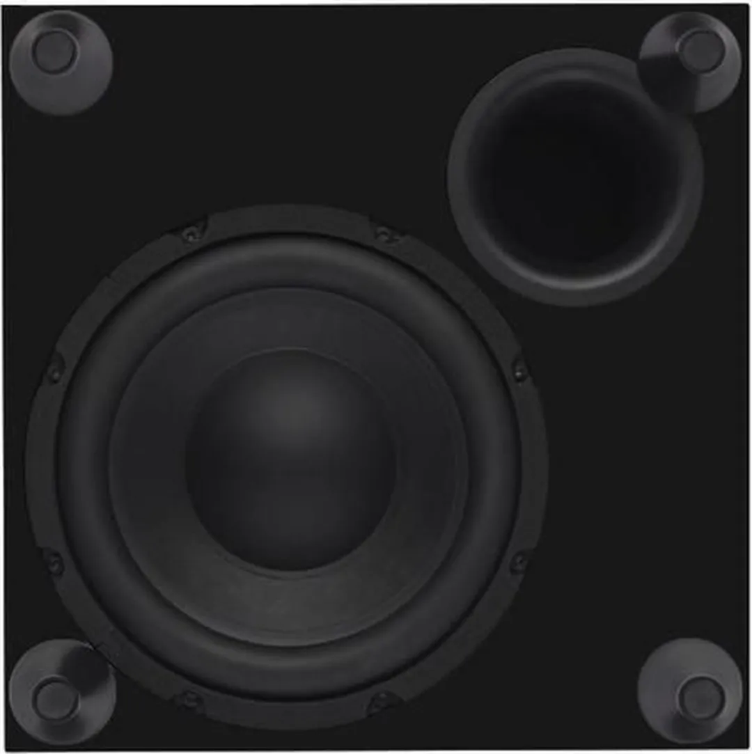 Dali C-8 D Subwoofer - 220W - Zwart