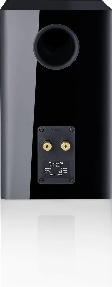 Canton Townus 30 2-Weg Zwart - 140W (2 Stuks)