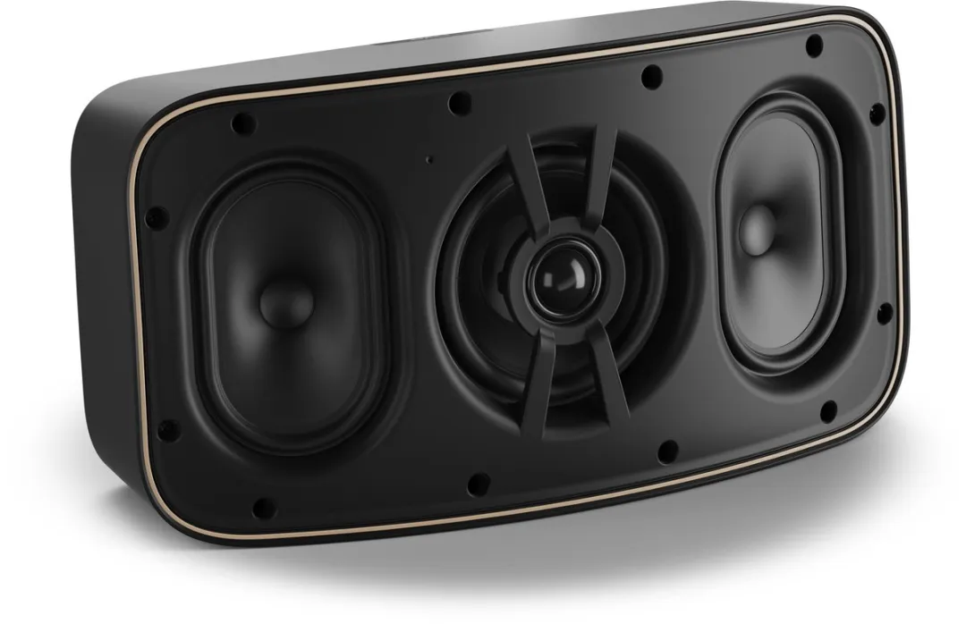 Dali Gardian OW 6 Passieve Outdoor Speaker - Zwart