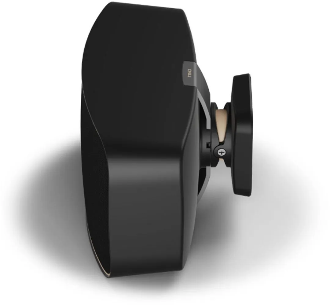 Dali Gardian OW 6 Passieve Outdoor Speaker - Zwart