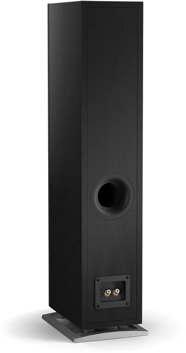 Dali Oberon 5 Vloerstaander - 150W - Zwart