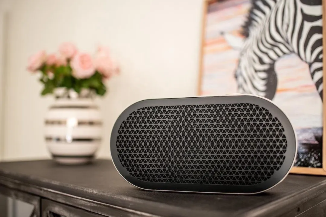 Dali Katch G2 Bluetooth Speaker 50W - Iron Black