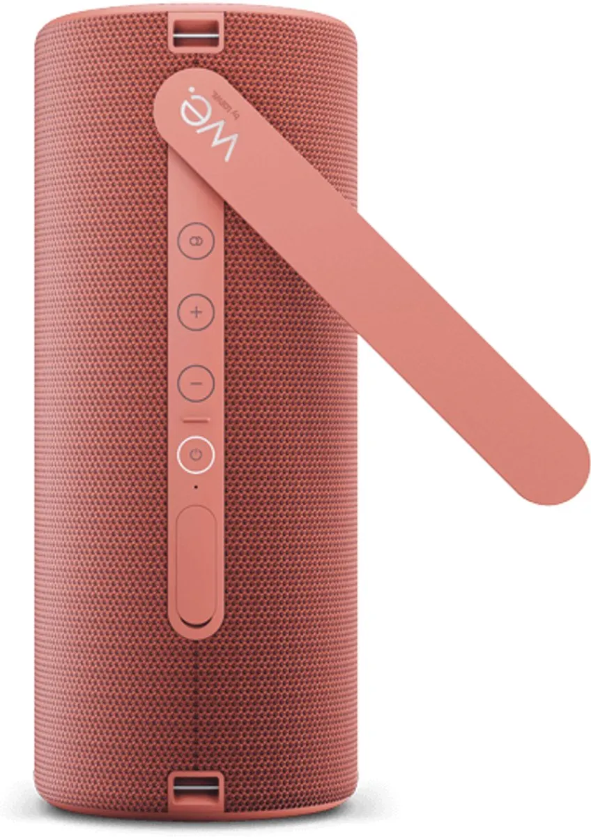 Loewe We. Hear 2 71335 Draagbaar Luidsprekersysteem - 60W - Multicolor