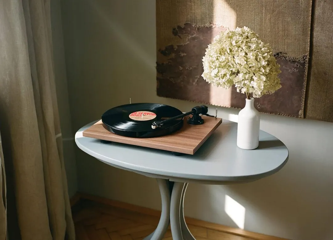 Pro-Ject E1 BT AT3600L Platenspeler - Walnoot - afbeelding 6 van 6