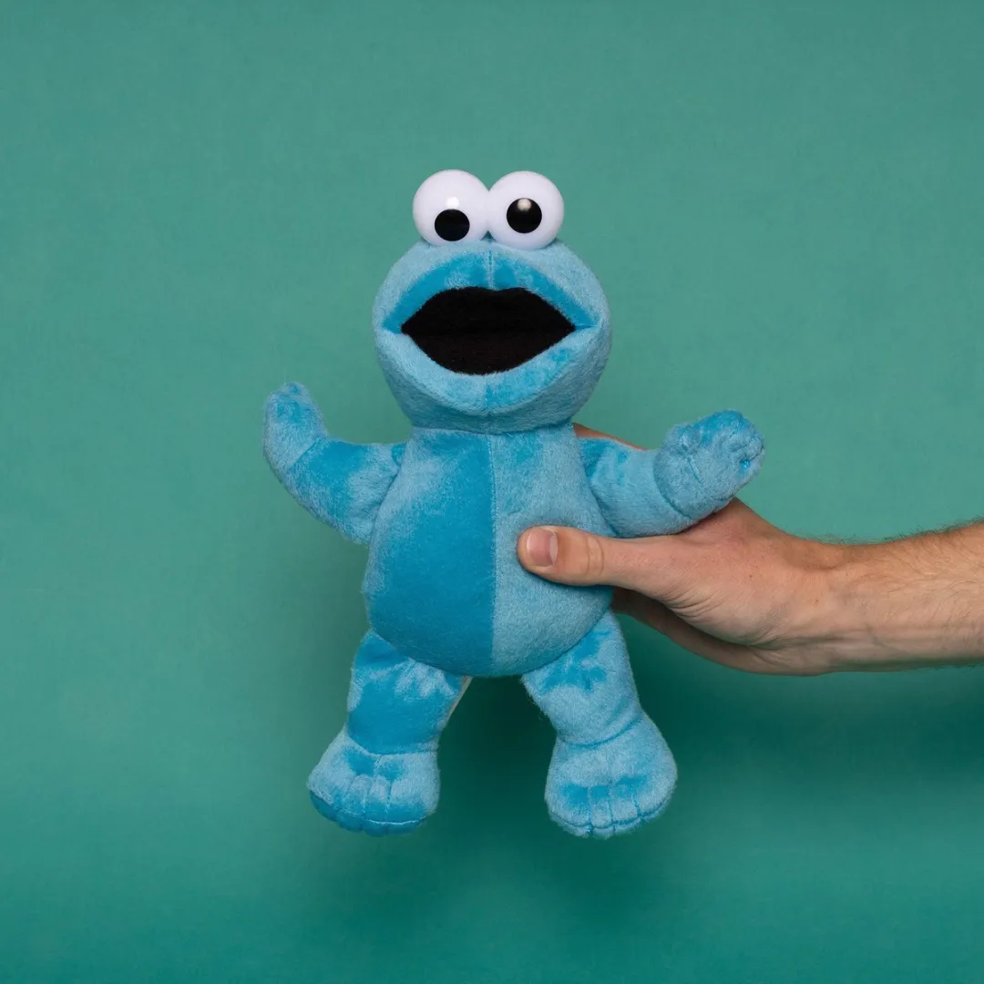 Fisher Price Sesamstraat Koekiemonster Knuffel 30cm