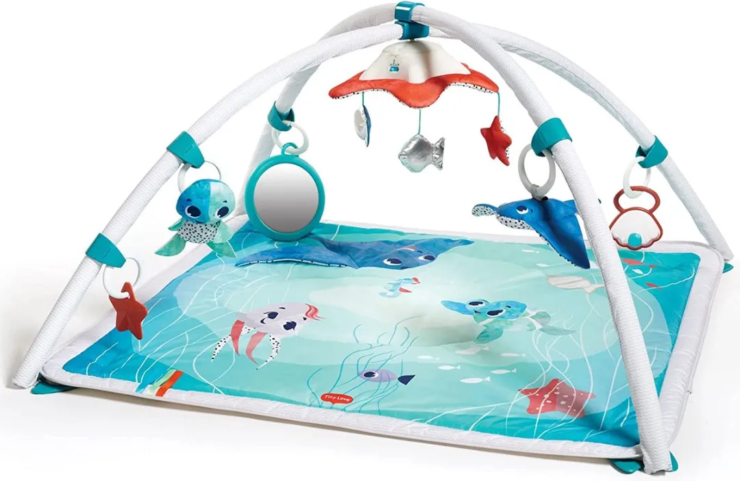 Tiny Love Gymini Babygym