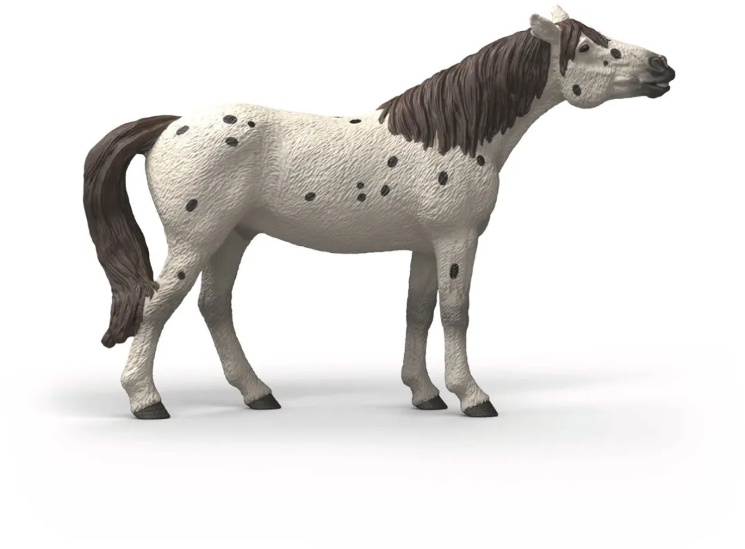 Schleich Horse Club Knabstrupper 14916 - Meerkleurig