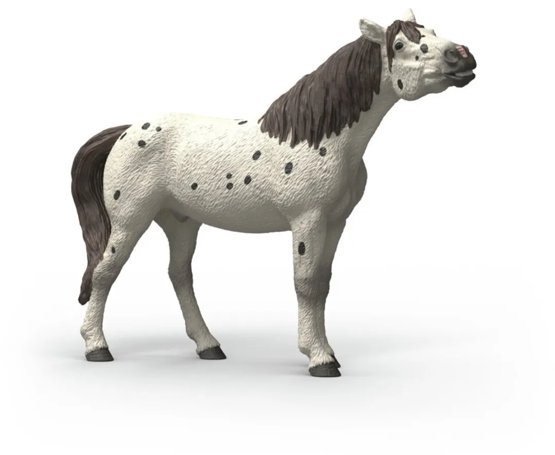 Schleich Horse Club Knabstrupper 14916