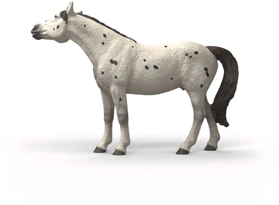 Schleich Horse Club Knabstrupper 14916 - Meerkleurig - afbeelding 6 van 6