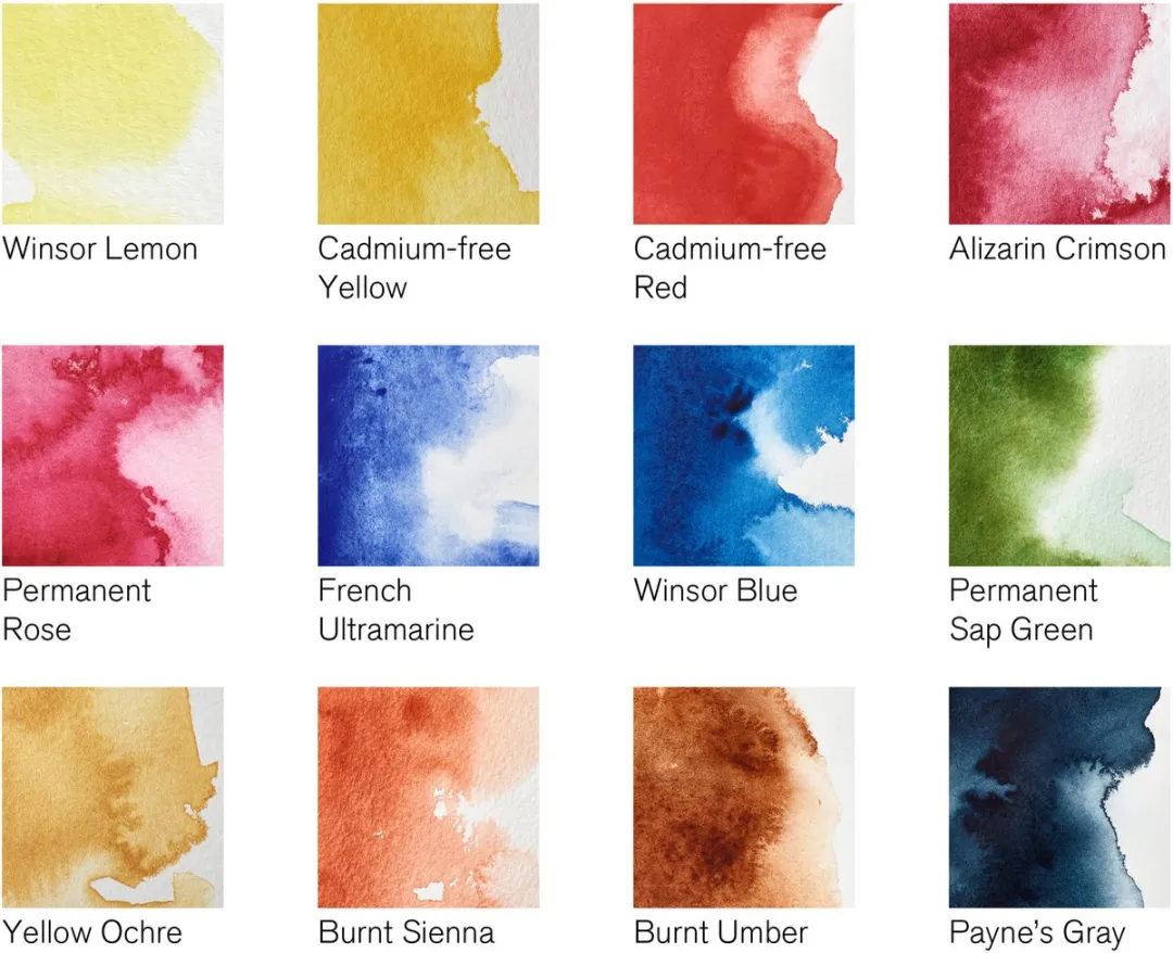 Winsor & Newton Professional Waterverf 12x5ml - Lichtgewicht metalen doos