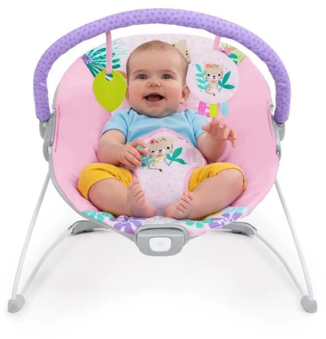 Bright Starts Wildflower Wonders Wipstoel - Multicolor