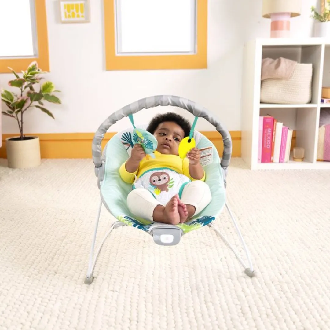 Bright Starts Wild Wonders Baby Wipstoel - Multicolor