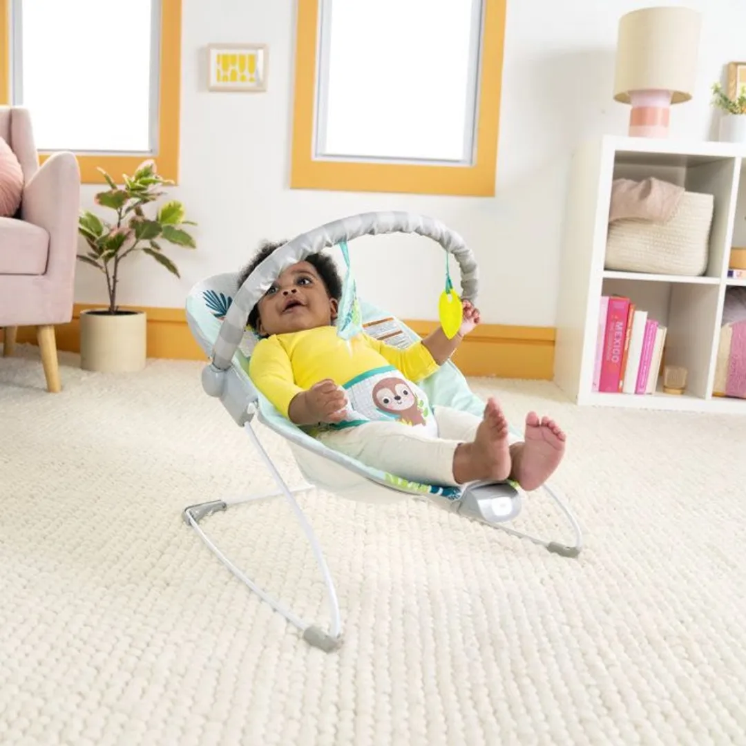 Bright Starts Wild Wonders Baby Wipstoel - Multicolor
