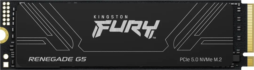 Kingston FURY RENEGADE G5 SFYR2S/1T0 SSD M.2 2280 - 1TB - Zwart