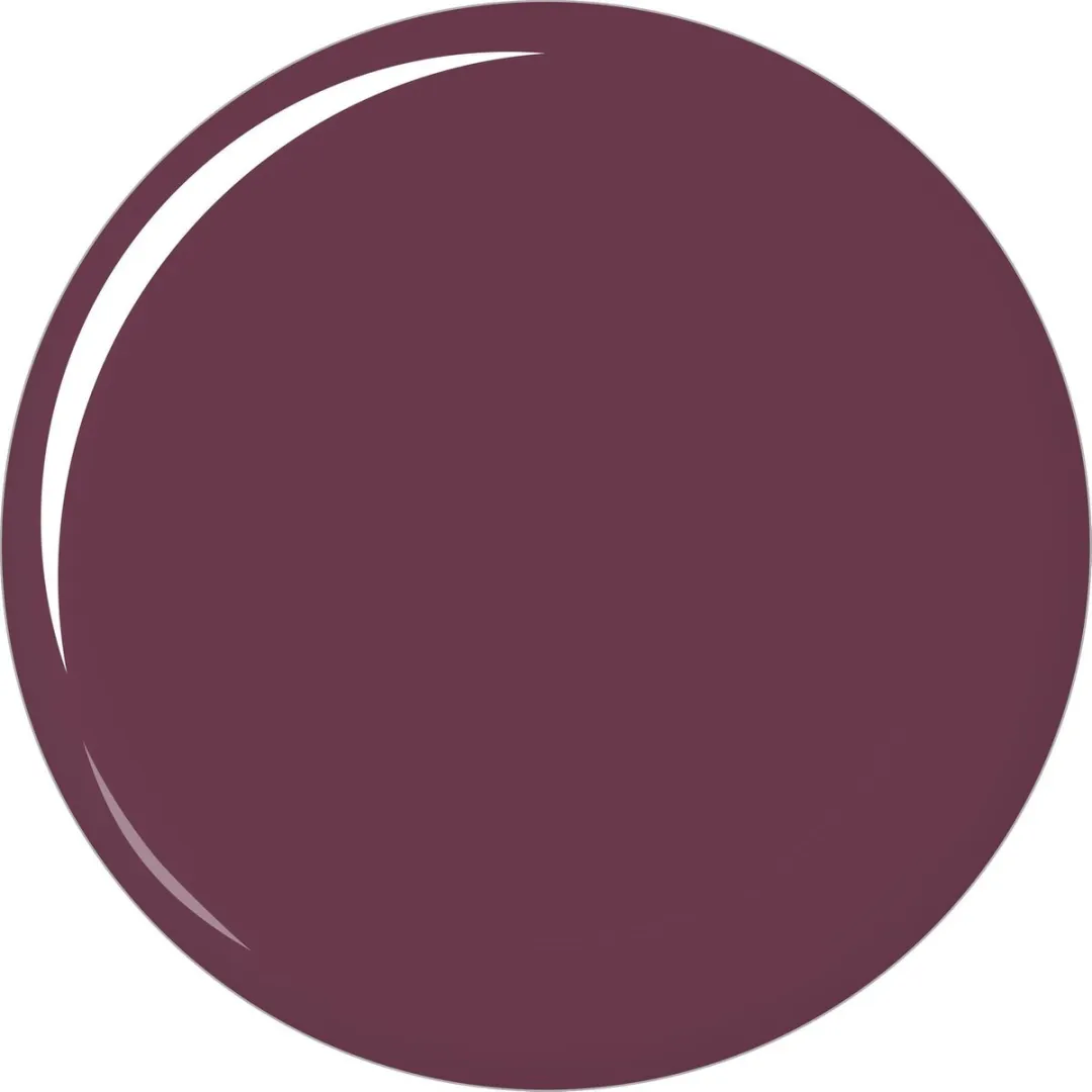 Maybelline Color Sensational Plums 240 Lippenstift - 4.4g