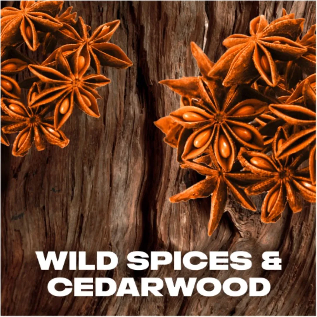 Axe Wild Spice Deo Spray - 4x150ml