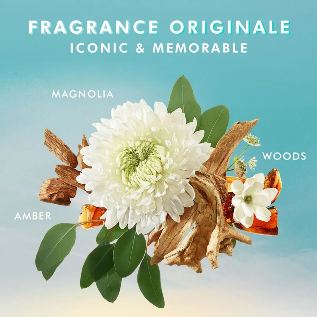 Moroccanoil Handcrème 100ml