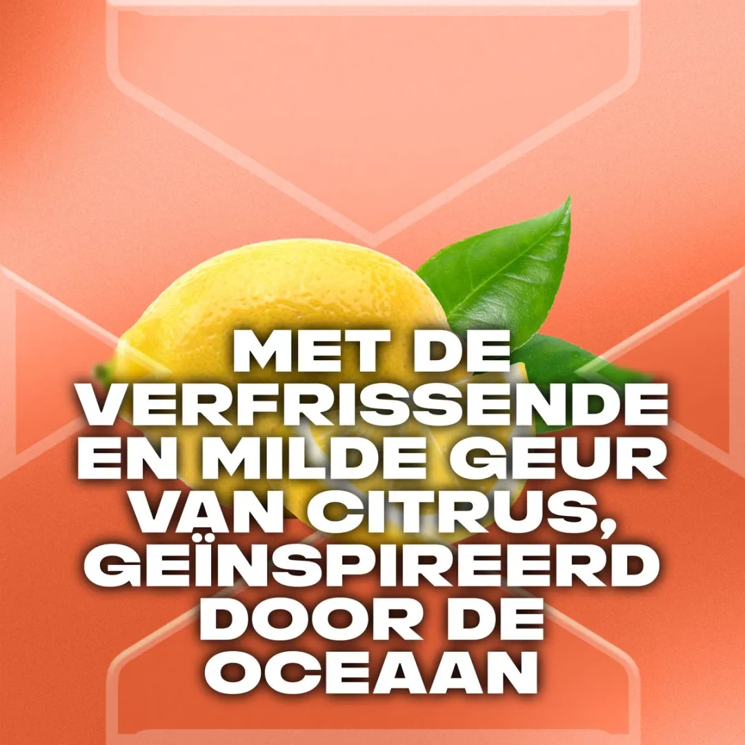 Axe Sunset Fresh Deodorant Bodyspray - 6x150ml - afbeelding 6 van 6