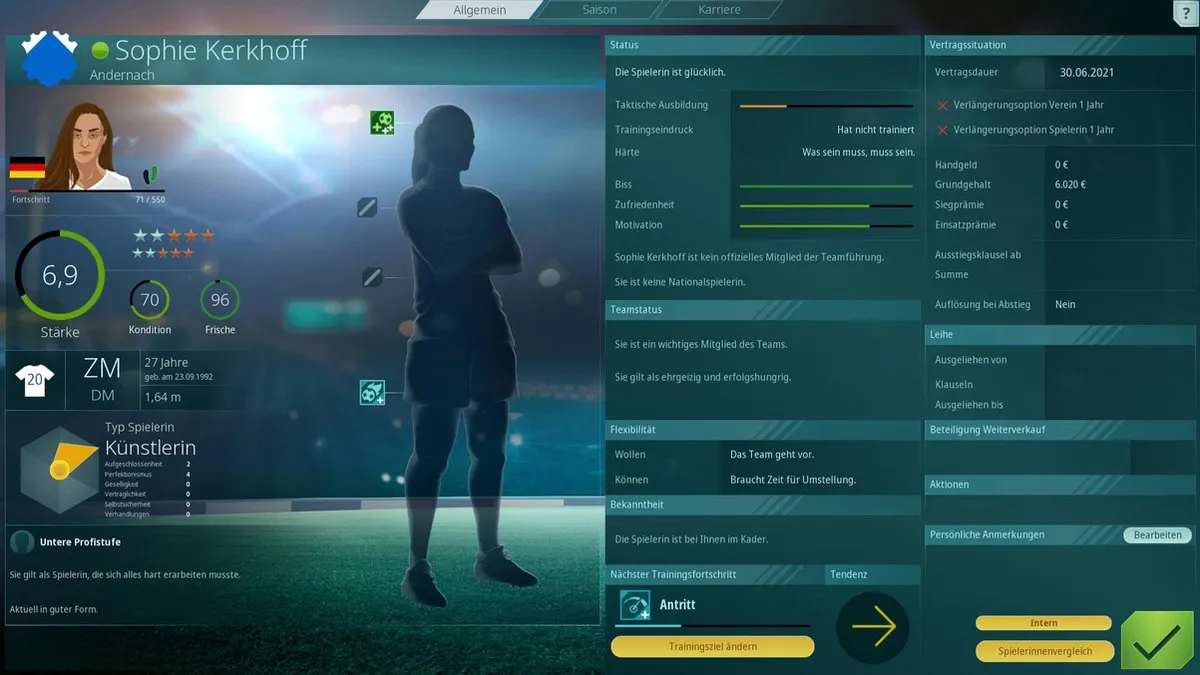 THQ Nordic We Are Football PC