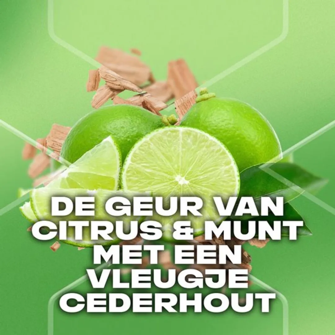 Axe Green Mojito & Cedarwood Douchegel 250ml - 3 Stuks