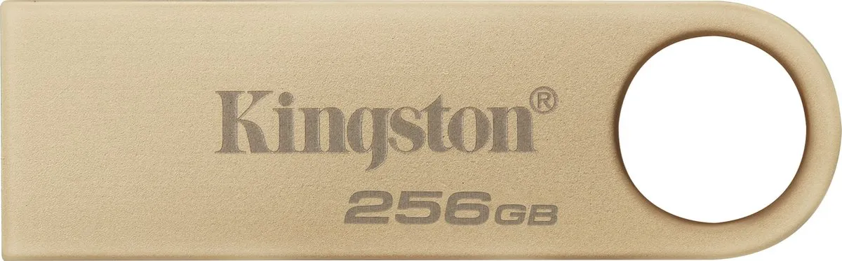 Kingston DataTraveler SE9 G3 DTSE9G3/256GB USB-Stick 256GB - Goud