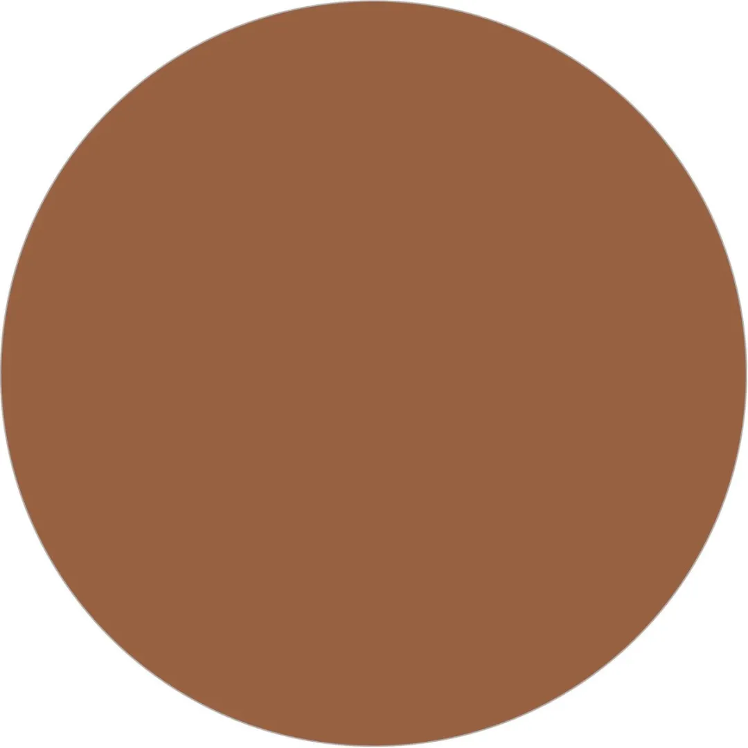 L'Oréal Paris True Match Foundation Poeder W10 Deep Golden - 9g