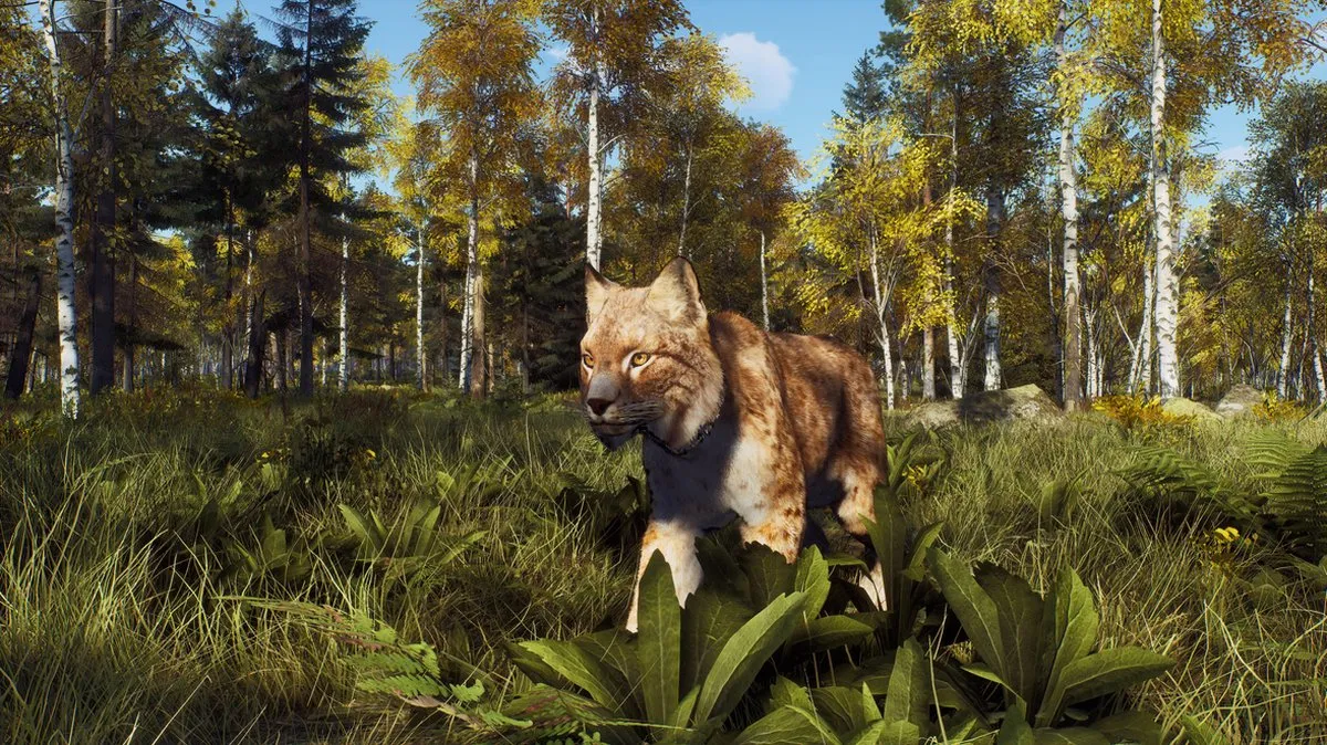 THQ Nordic Way of the Hunter Wild Expeditions Xbox Series X