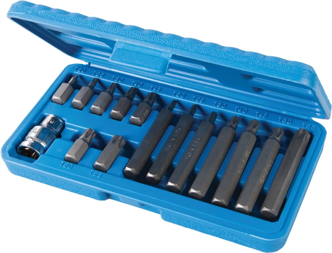 Silverline Torx Bitset 15-delig