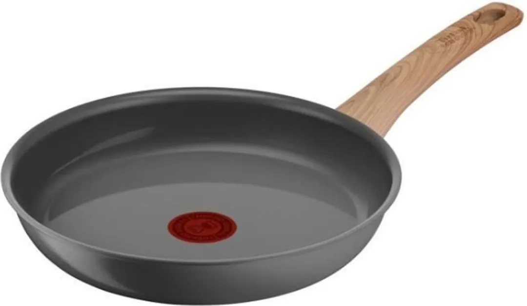 Tefal Pan Ø24cm