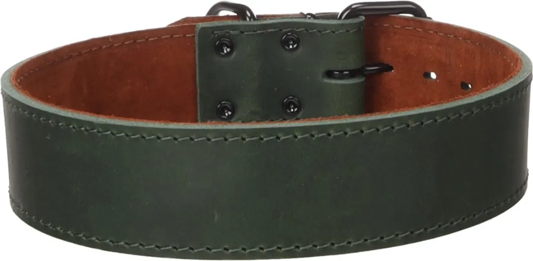 Flamingo Montana Halsband - 58-68cm - Groen