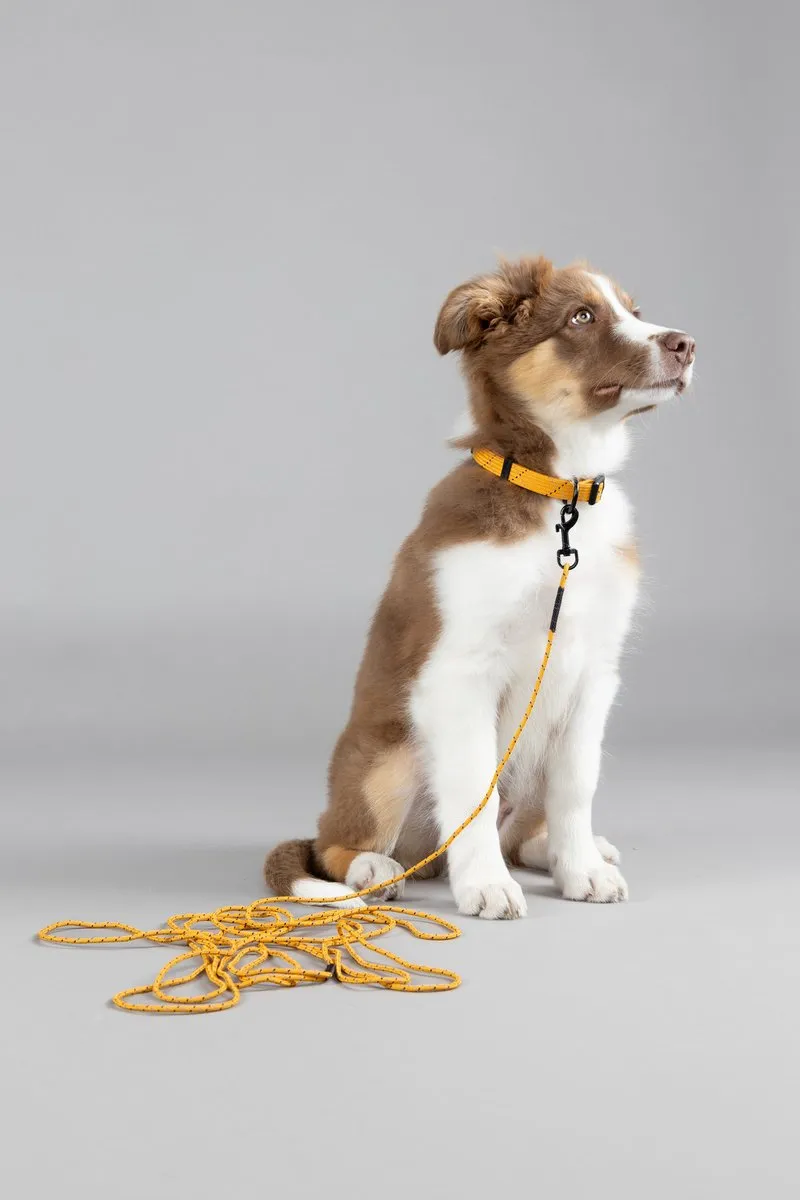 Flamingo Hond Halsband Puppy Dolly Oker XS