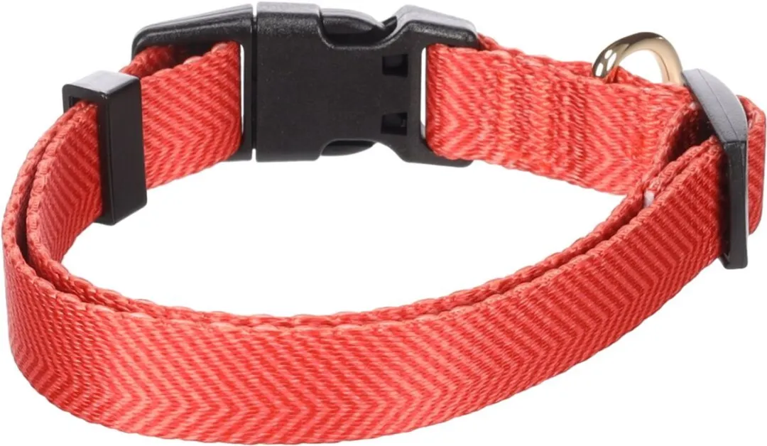 Flamingo Noekie Hond Halsband - Oranje S 30-45cm