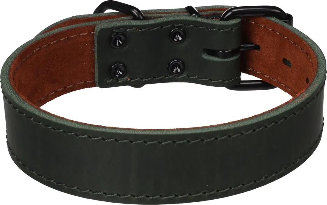 Flamingo Montana Halsband - Groen - M/L 39,5-49,5cm