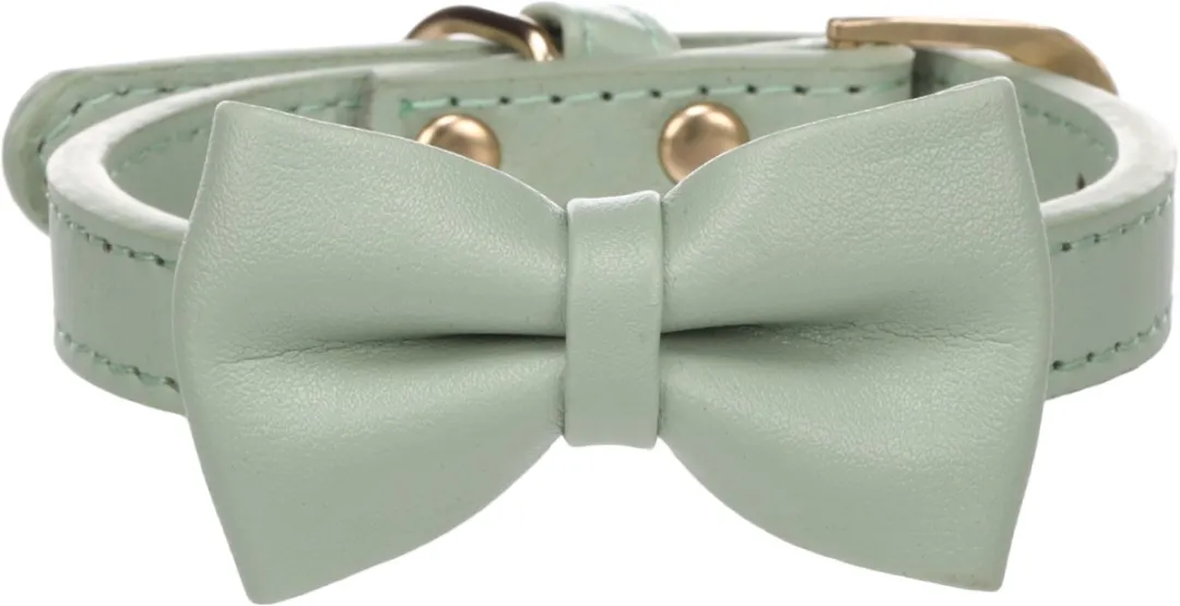 Flamingo Hond Halsband Nela Muntgroen XS/S 24-30cm