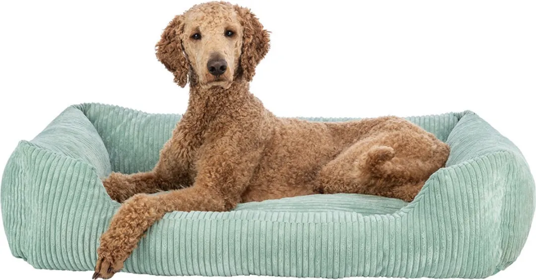 Trixie Vitaal Mand Jonna SOFT Edition Orthopedische Hondenmand