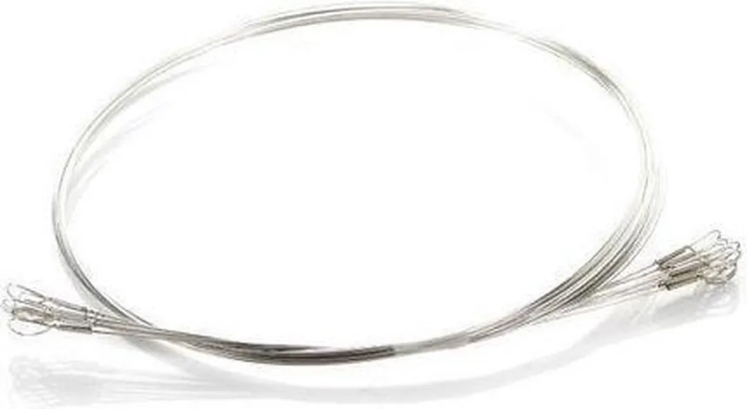 Boska Kaas Snijdraad 849011 - 10 Stuks - Zilver