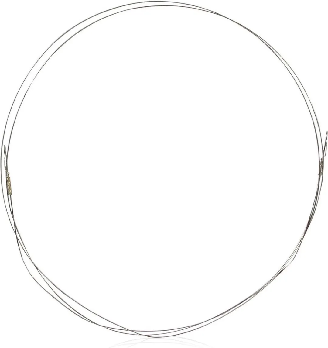 Boska Kaas Snijdraad 849011 - 10 Stuks - Zilver