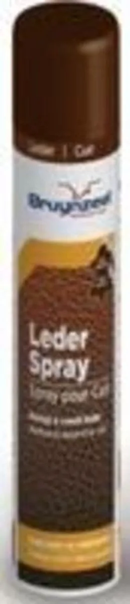 Bruynzeel Lederspray 300ml - Leer