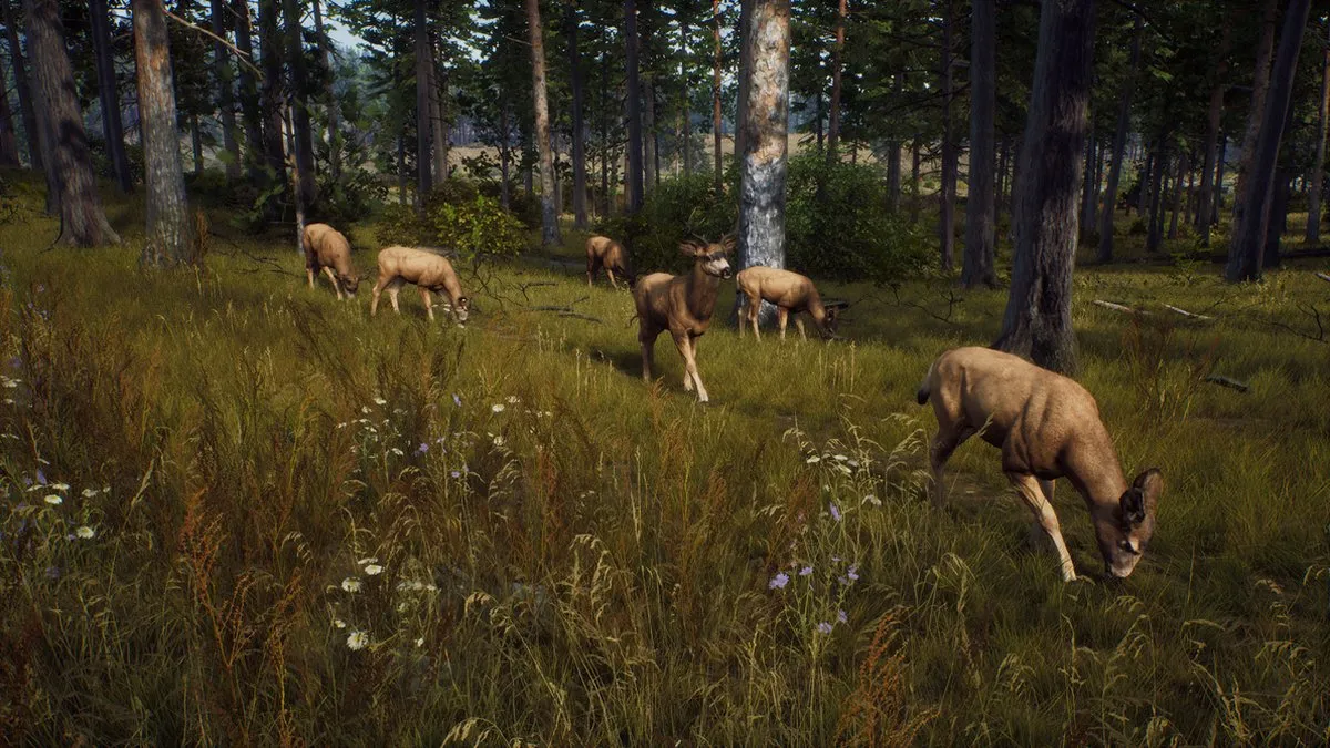 THQ Nordic Way of the Hunter Xbox Series X - afbeelding 6 van 6