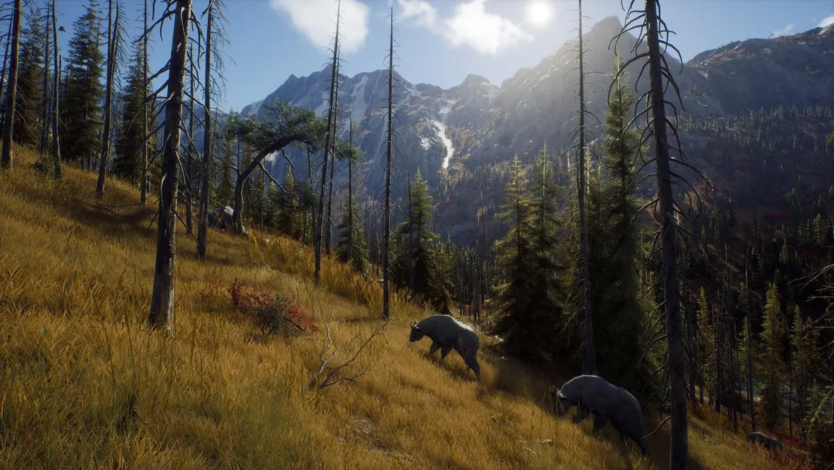 THQ Nordic Way of the Hunter Xbox Series X