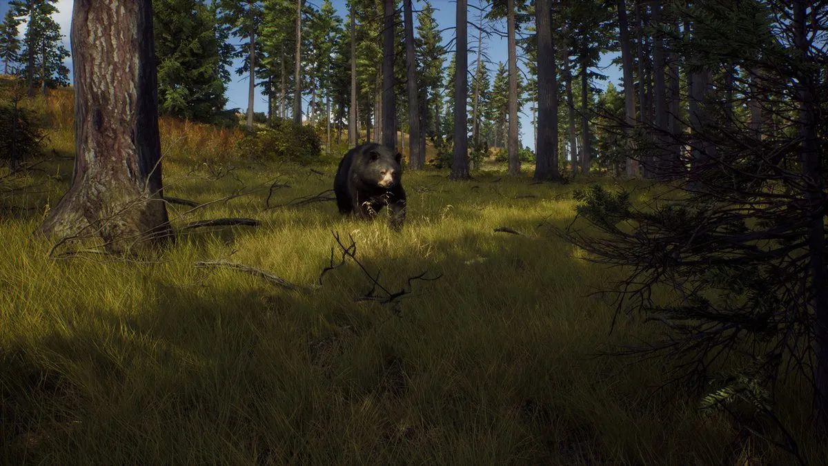 THQ Nordic Way of the Hunter Xbox Series X